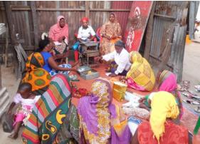 Tanzania Village Savings Project